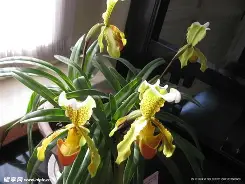 亚博娱乐 -包含K?M%&amp;兜€爒NJ~賗?秢サ?"?壼篍\蹪gs的词条